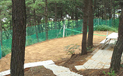 산책로 사진