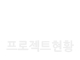 프로젝트현황