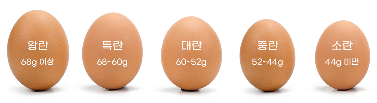 신선함 등급